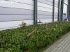 RPC vom 26.04.2008-055_small